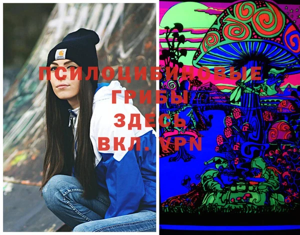 марки lsd Абаза
