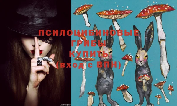 мяу мяу мука Алексин