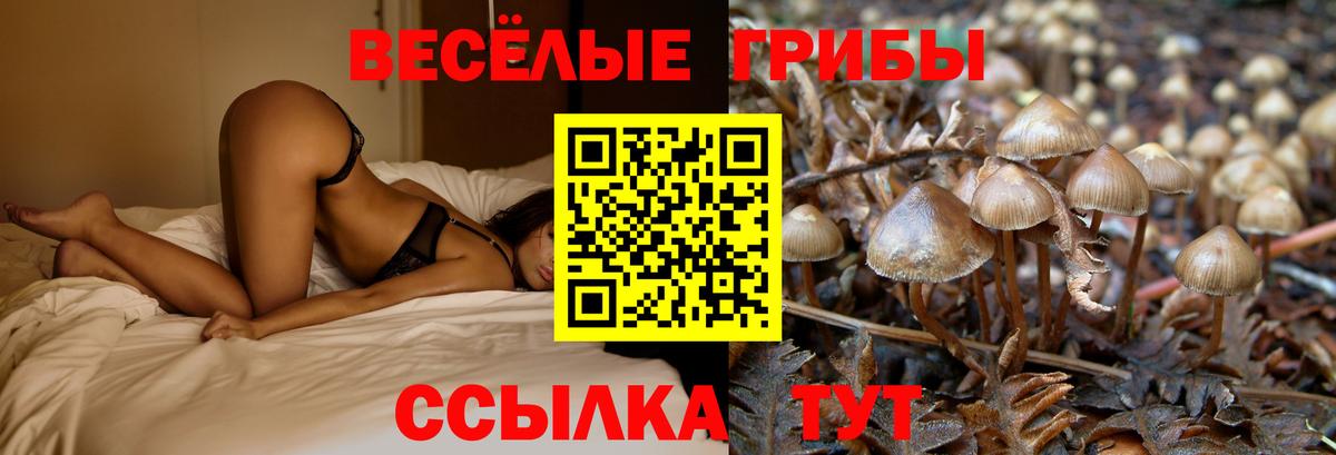 Галлюциногенные грибы Cubensis  Галлюциногенные грибы Psilocybe  Архангельск  Вход с VPN 
